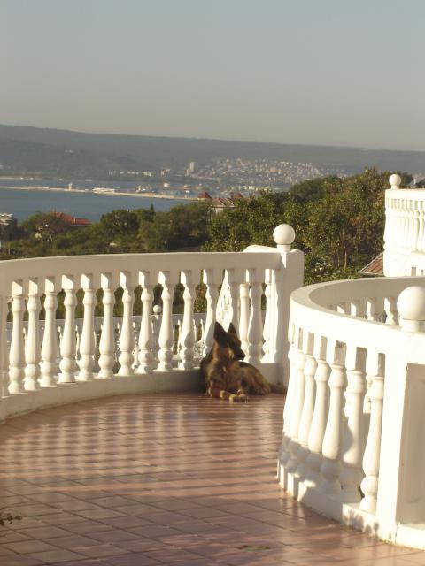 Family Hotel Casablanca Green Varna Buitenkant foto